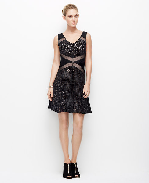 Ann Taylor Petite Mesh Lace Dress, Black - Size 16