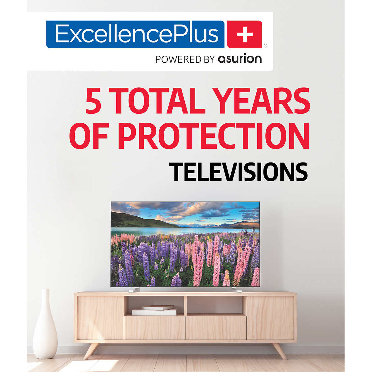 Excellence Plus 3 Year TV Warranty For TVs Under 500