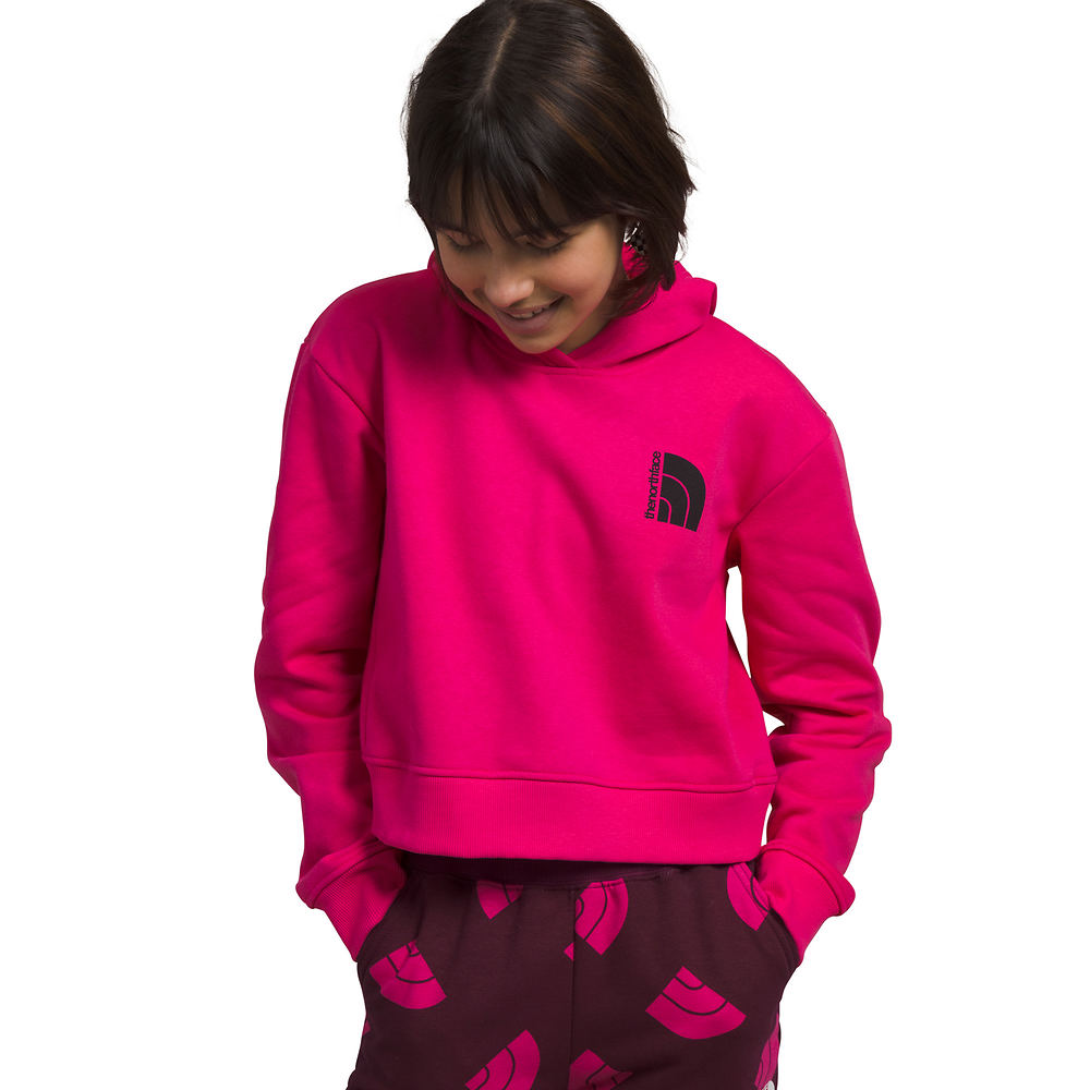 The North Face Girls' Camp Fleece Pullover Hoodie Pink Jackets M -  196573235434