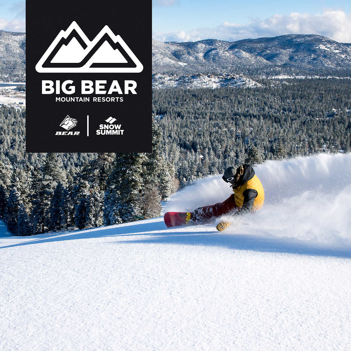 Big Bear Mountain Resorts Four 1 Day Ski Lift Ticket Evouchers
