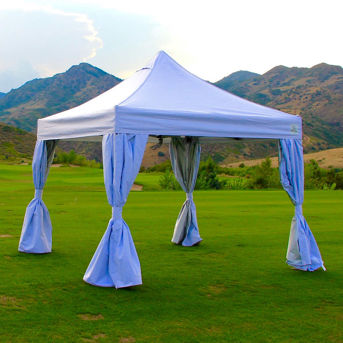 Undercover 10ft x 10ft Commercial Grade Instant Canopy ...
