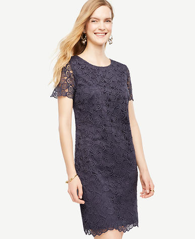 Women&-39-s Petite Dresses for All Occasions: ANN TAYLOR