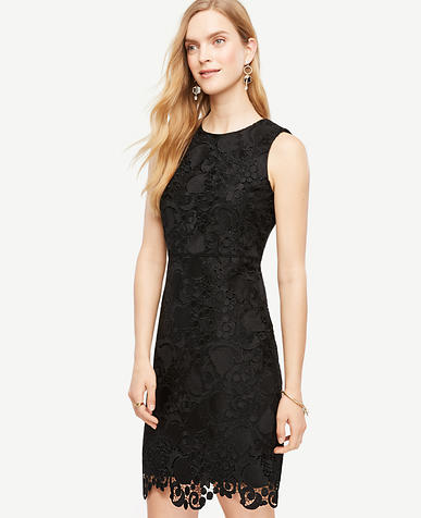 Women&-39-s Petite Dresses for All Occasions: ANN TAYLOR